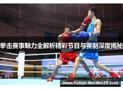 拳击赛事魅力全解析精彩节目与赛制深度揭秘